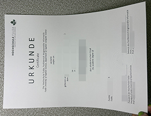Hochschule Fulda Urkunde copy