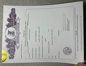 Illinois Apostille Certificate copy
