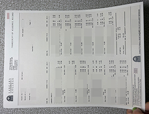 Langara College transcript copy