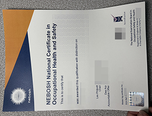 NEBOSH National Certificate copy