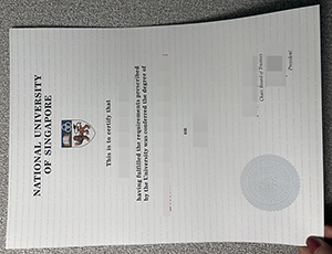 National University of Singapore diploma copy