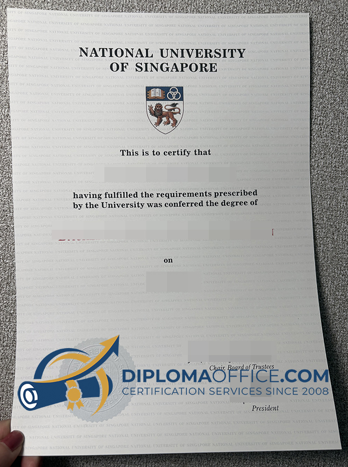 National University of Singapore diploma