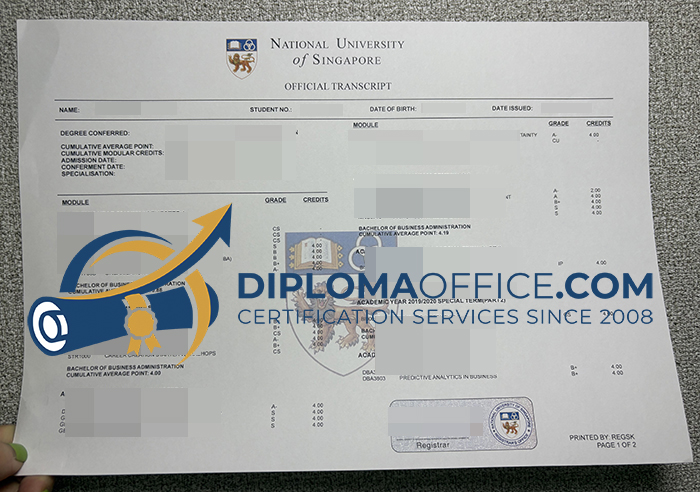 National University of Singapore transcript