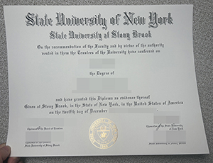 Stony Brook University degree copy