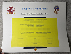 Universidad de Barcelona diploma copy