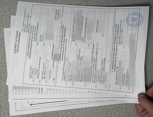 Universitatea din București diploma supplement copy