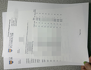 University of Plymouth transcript copy