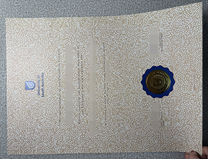 University of South Australia degree copy