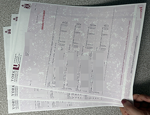 York University transcript copy
