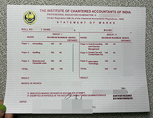 ICAI transcript copy